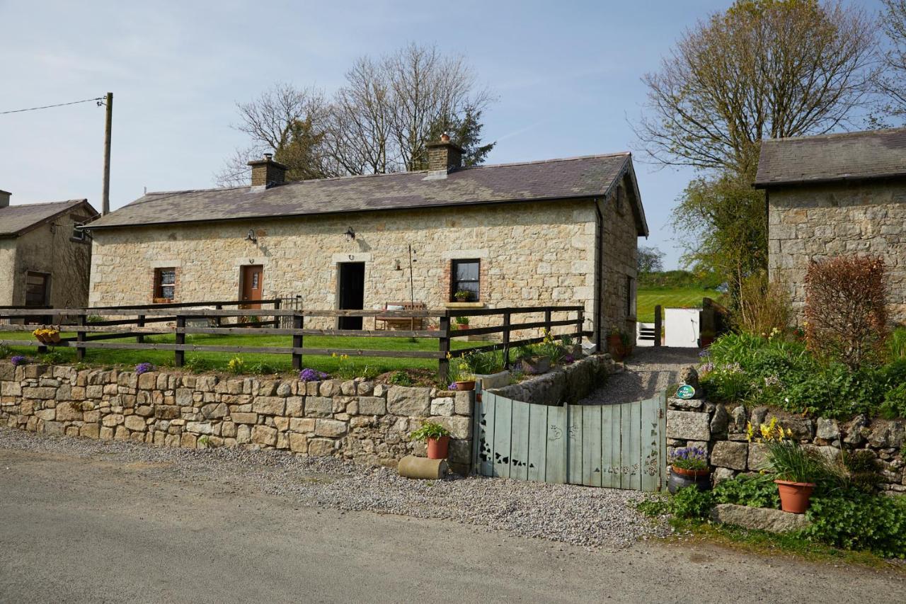 Kilquiggan Cottages Coolkenno ภายนอก รูปภาพ